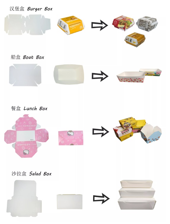 Compact and Lightweight Lunch Boxes